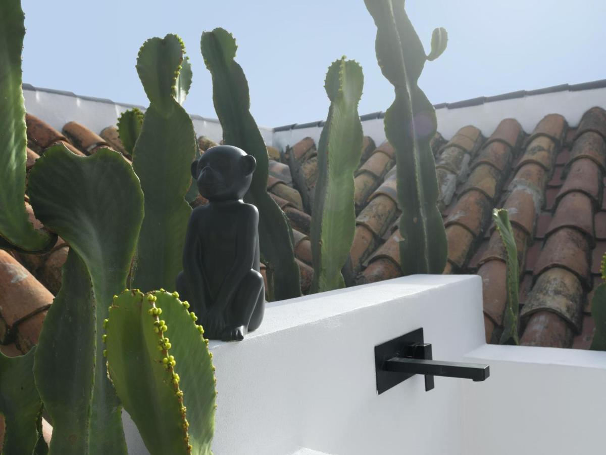 Old City Center Penthouse マラガ エクステリア 写真